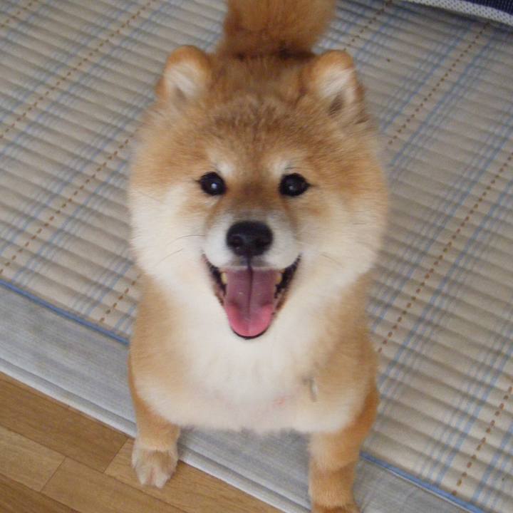 D9316000 2983 43e5 bc36 dbb7a99c2a30