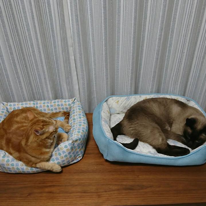 D9318886 439d 43a0 84f0 093986d00bc5