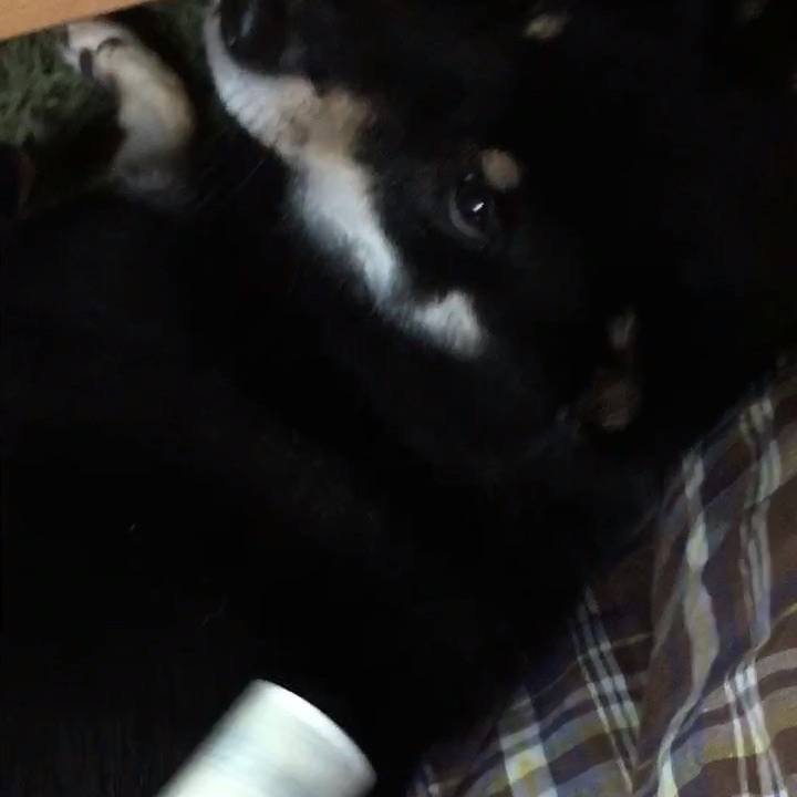 D931e670 f7c1 4d1a b0d1 62139296aff5