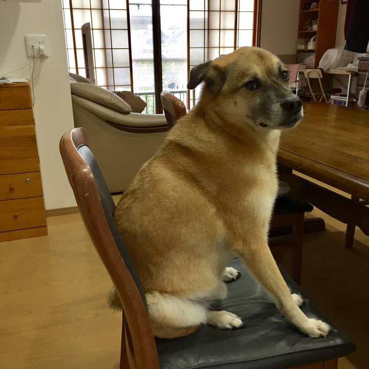 D93271eb bb4a 4994 aaaf 4a25f7f2abde