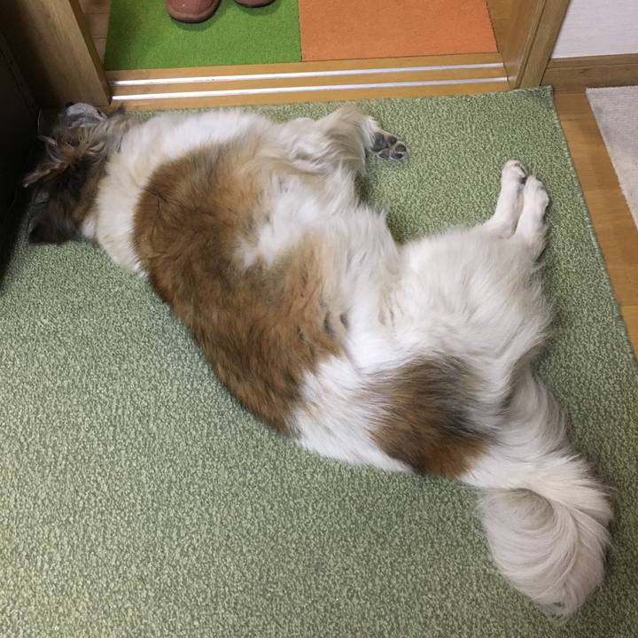 D932ff7f 10f9 4c53 b658 abb3dcb2c515