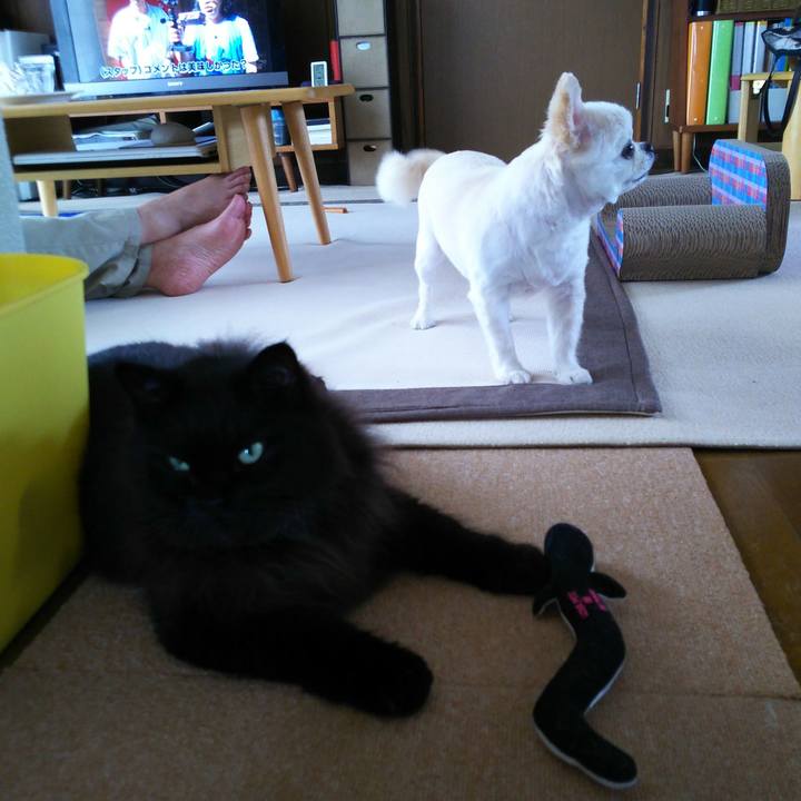 D9330040 a16e 4001 83ce c12e0e87fd66