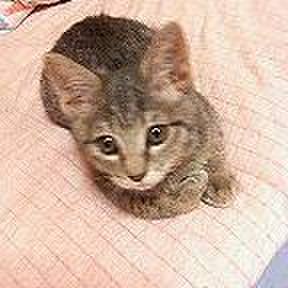 D9335e37 52c3 46b3 bc69 d41b2da505c5