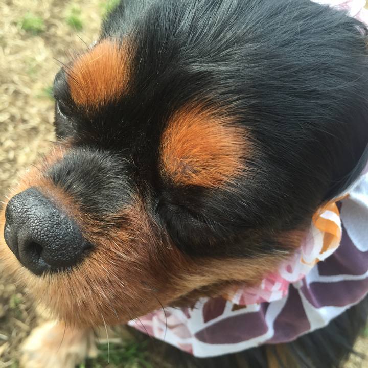 D9339508 fbbb 4ca8 a420 d74f19bede45