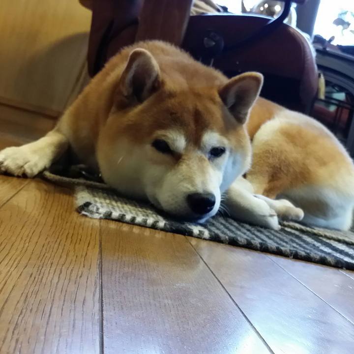 D933af30 e372 4b4b 8a6d ca57292aecd3