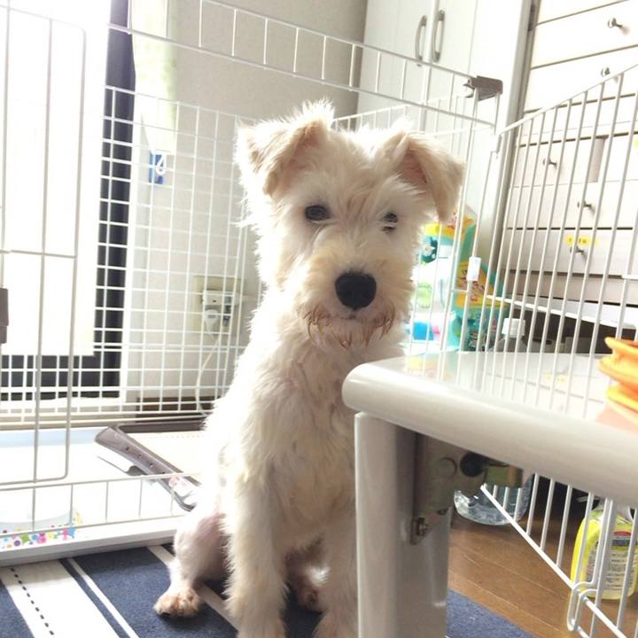 D9342c87 90fa 4029 8b41 8d4e7afaade5