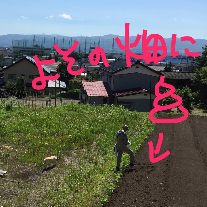 D9343111 cd5d 47ff b11f 50faa9bec96a