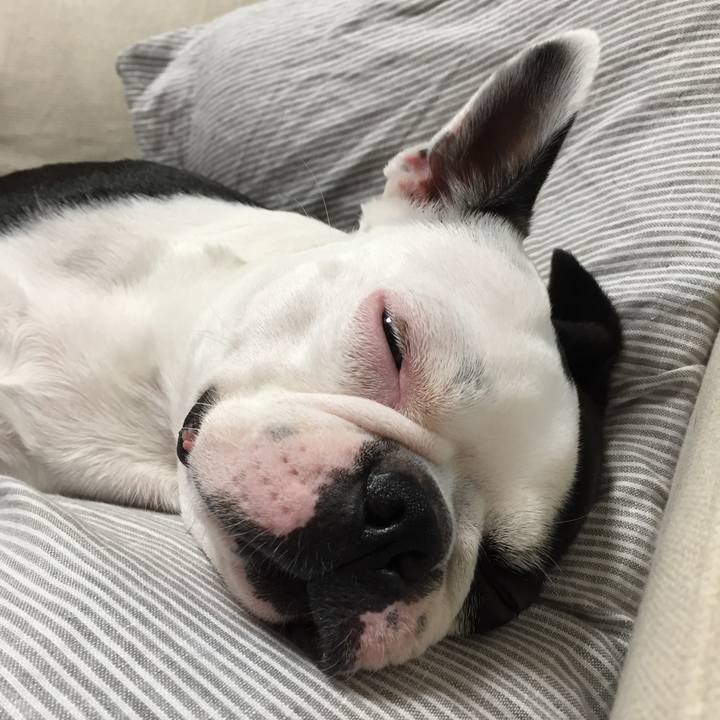 D9346499 d5ab 4396 b1be faae37a6fd18