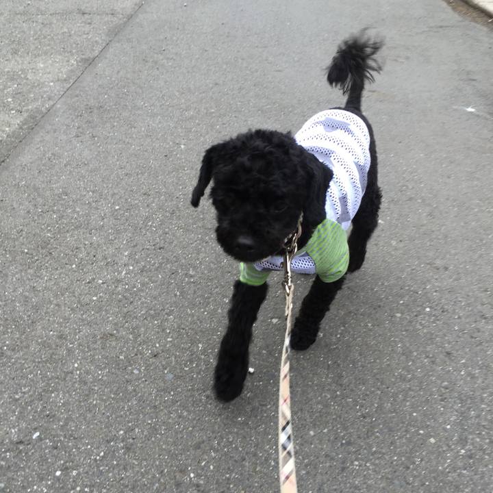 D934dacc 5965 4371 bb96 d4398b605e62