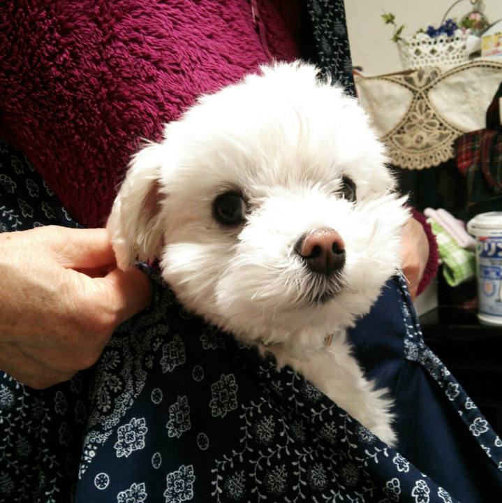 D935172f 8f15 4179 a605 9a1d92f1a40b