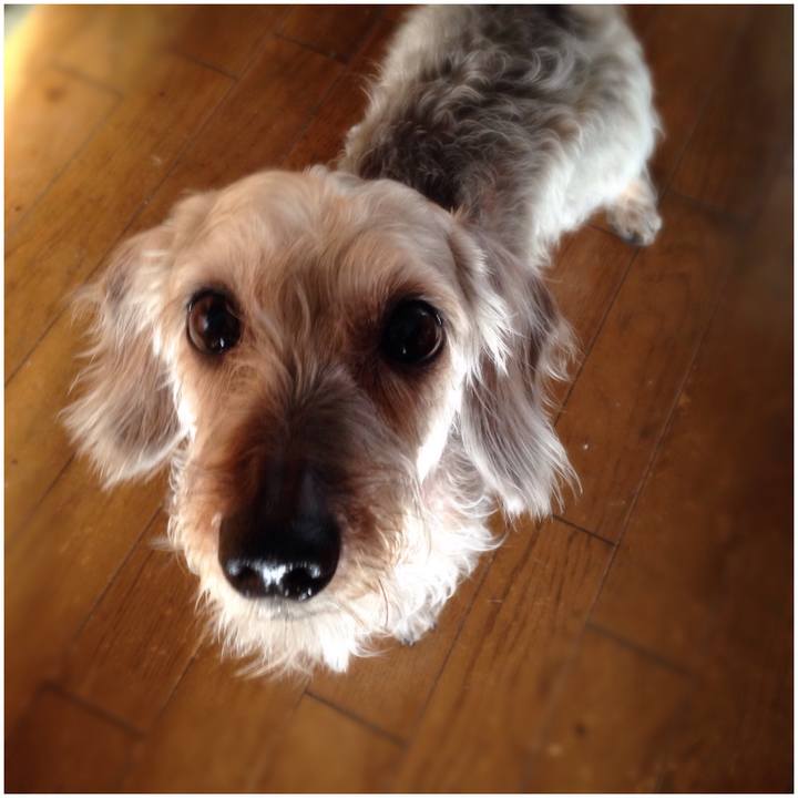 D93537f6 333c 40fd a769 89cbcaec98f1