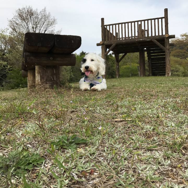 D9353d80 f9a6 447f a974 5ea22b498500