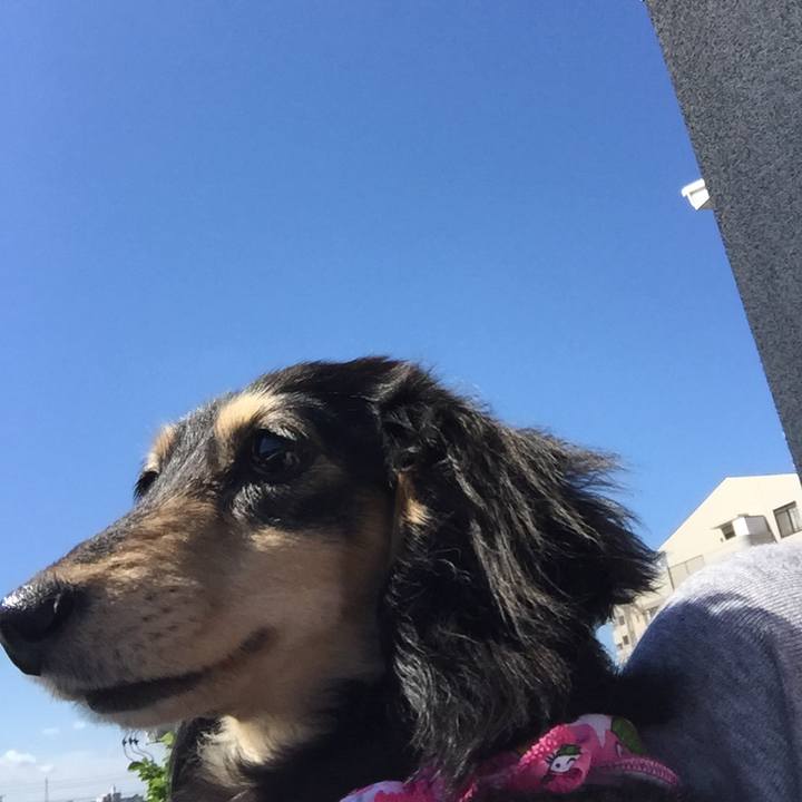 D9355580 551d 4865 b774 24714d4bb538