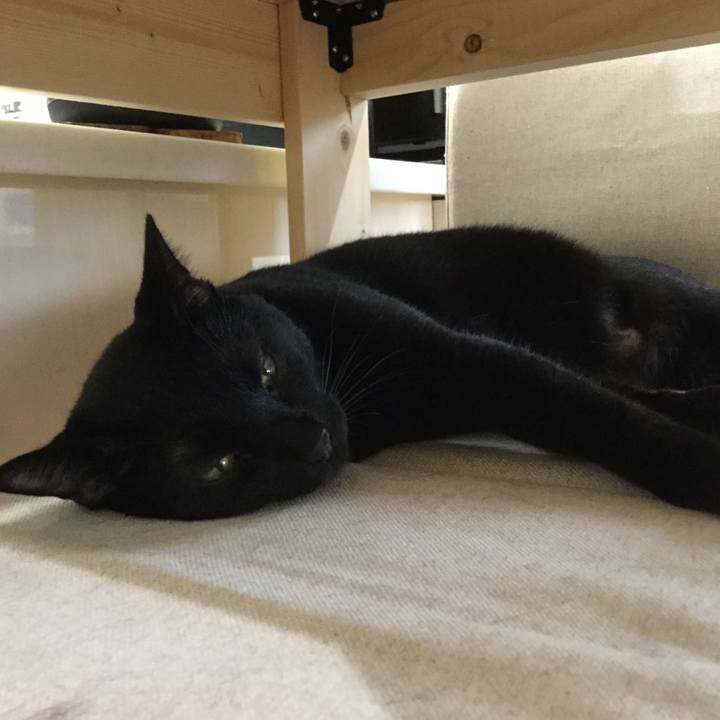 D93602d3 5ce8 43e1 8343 beadf0e05beb