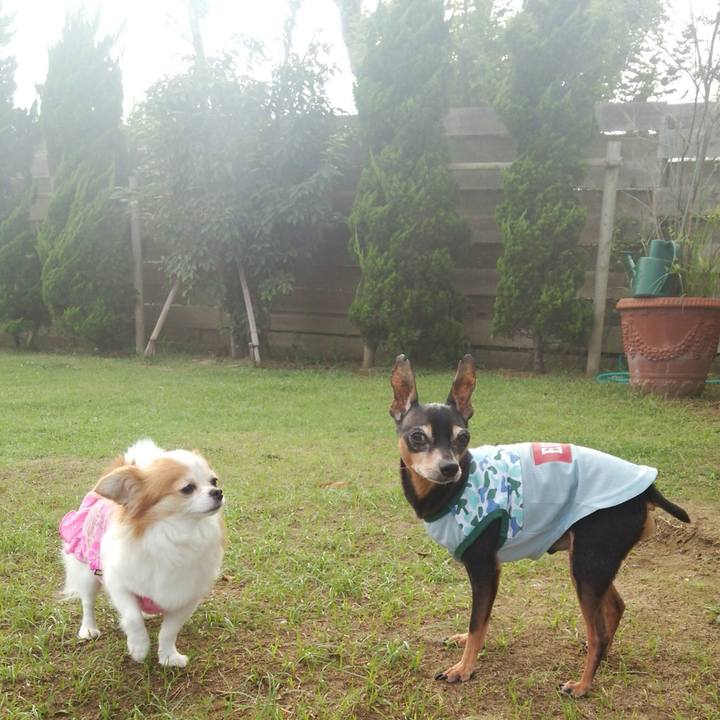 D9367634 e13c 4be0 8d21 05a5b6710257