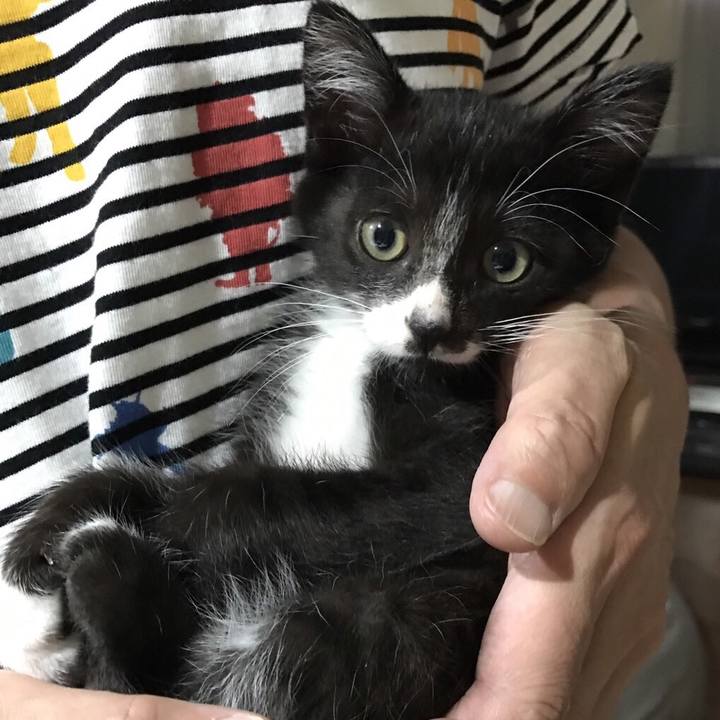 D937020f 203d 47cf 8553 7b6237256b8f