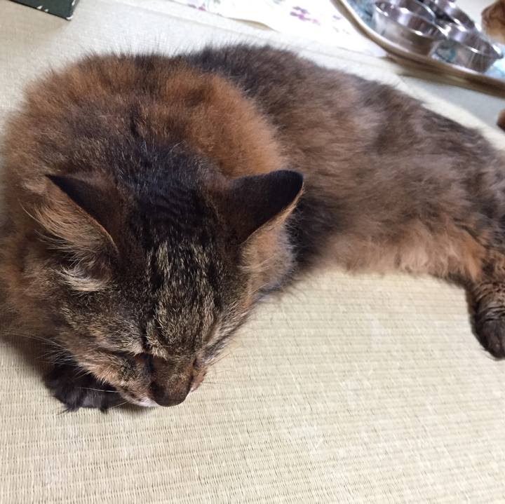 D9371c5e 33e2 450d ae32 68e41885ce8e