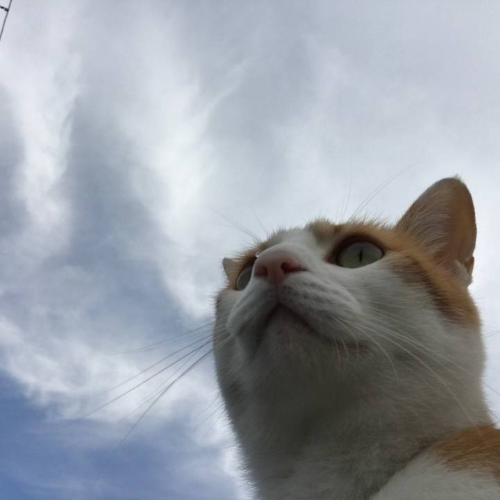 D9373171 a664 4d0c bcb2 f85b1e33e7ed