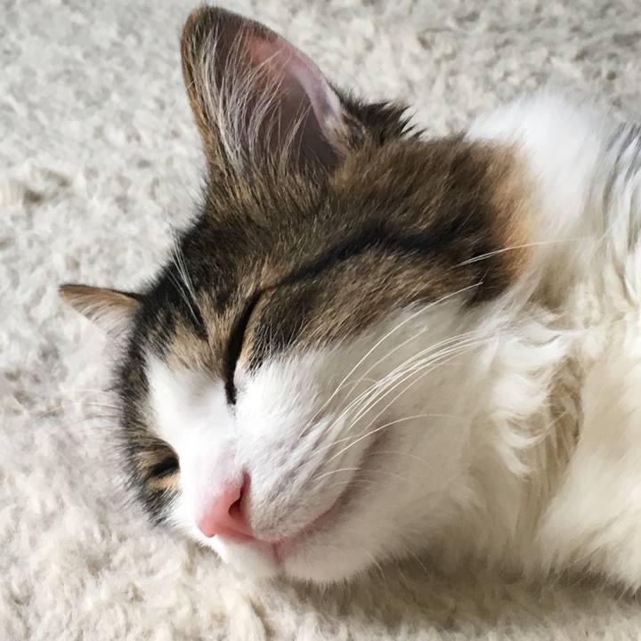 D9375daf 7f7c 4352 a506 2cb5fe11caff