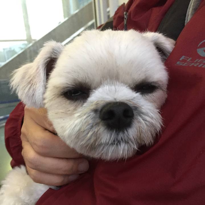 D9375f0c 57cd 4ad3 9a1a 1e24db1458b0