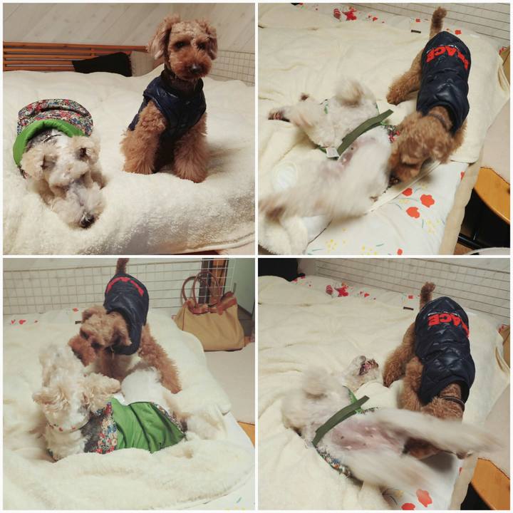 D9379b99 327c 41bc 8fa8 2d97c664c97f