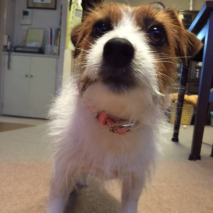 D9382d52 b194 4741 9e78 d0d74f7e3e0e