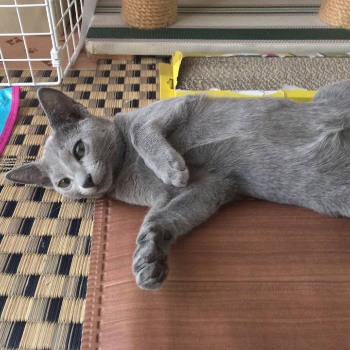 D93867ea acae 495c af6f 561e80732c5d