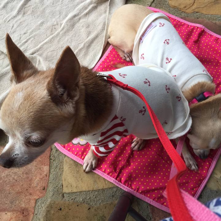 D9389f86 a8a1 42ac 841e 67e1c52a3cbe