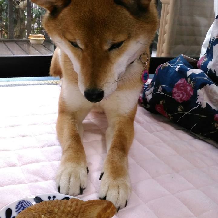 D938c328 ab9f 4bd2 96db 623af5c66bd0