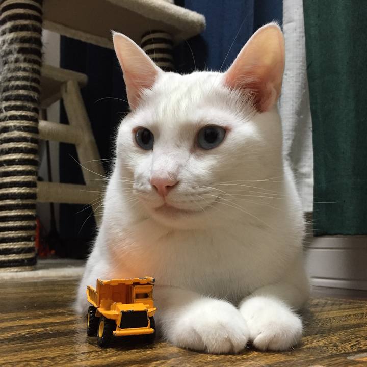 D9391913 1af4 4c5b 86fb f74db67f0f8a