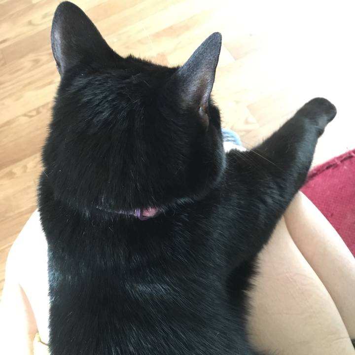 D9395aa0 a555 4380 80cc 143bfaa8a563