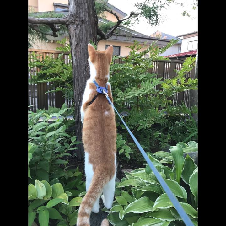 D939c78f 7782 4762 a62a eff594f921b5