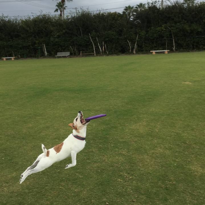 D939dd42 2729 4164 9a11 4e9b8f418b13