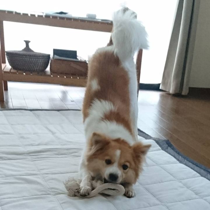 D93a5be9 ee8f 4f97 9cfe 8cee83d5aa9d