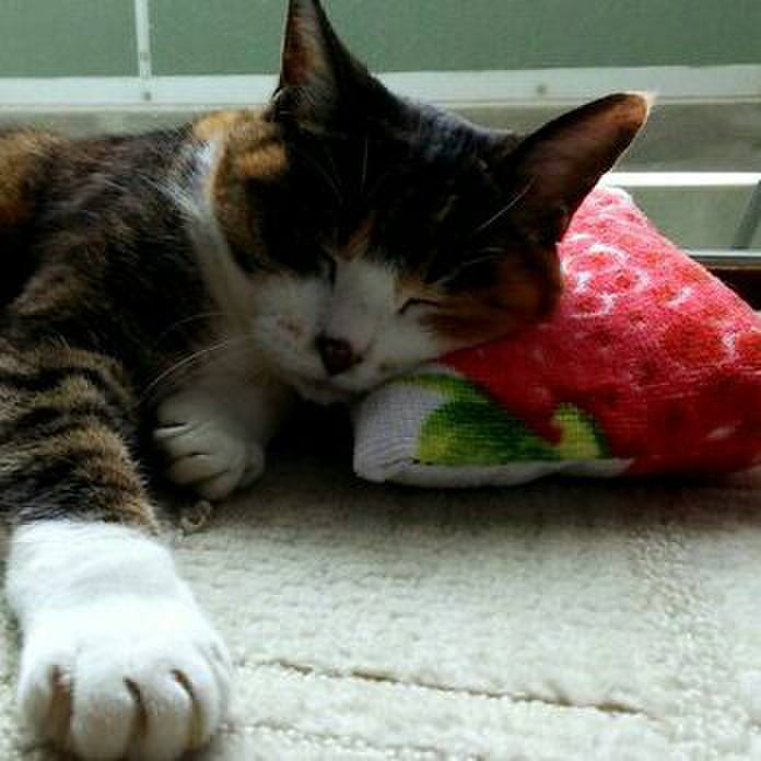 D93a6e17 596c 4034 89cb 93413a5c09db