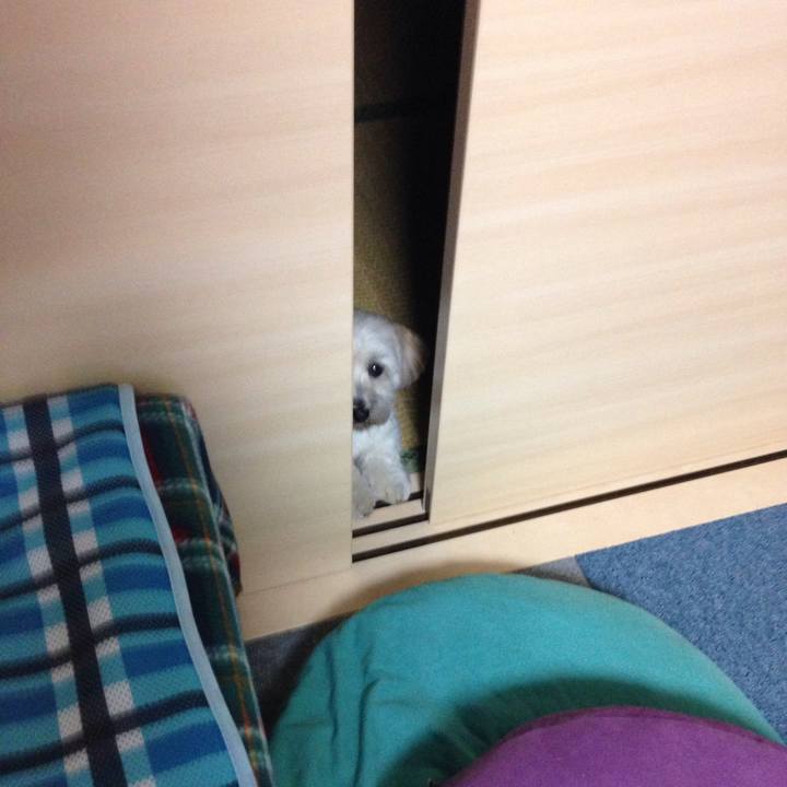 D93afb74 5380 453b 8651 decf781151d8