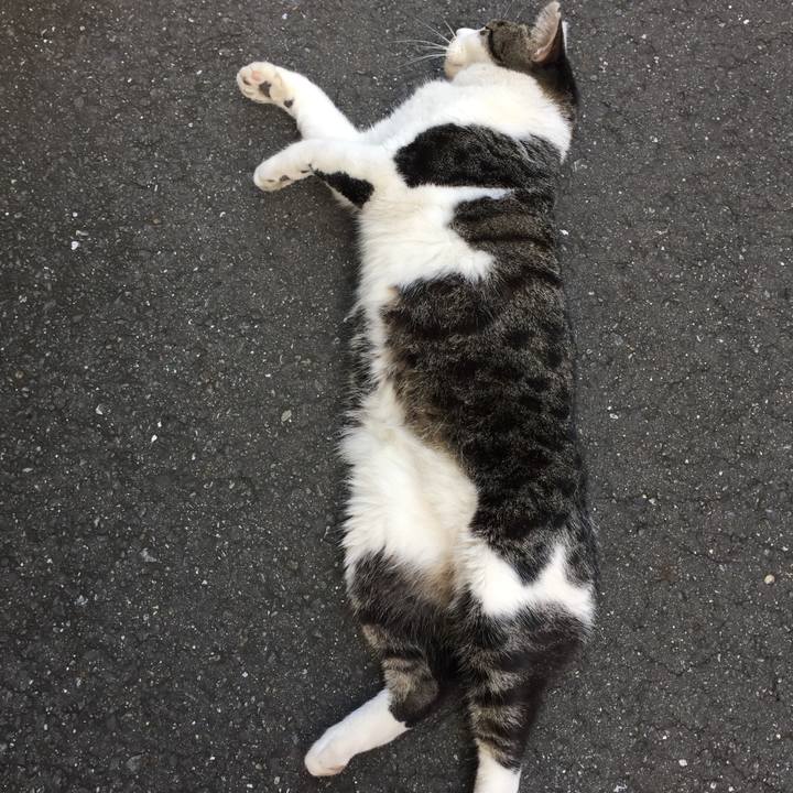 D93b0618 f596 4cc7 b2c0 a530991ade6a