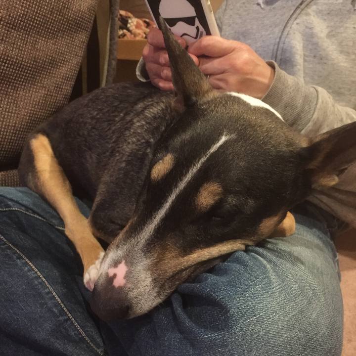 D93bebcc 0b89 4f85 99e7 adcf6f3b1cbb