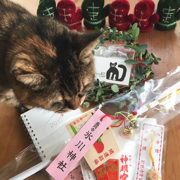 D93c3fd9 4421 4b1f aed3 94fa0a9feaa1