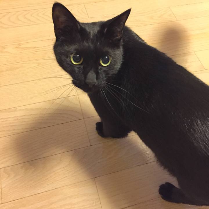 D93c4b58 eda7 479f b9fb 321d9bf3144b