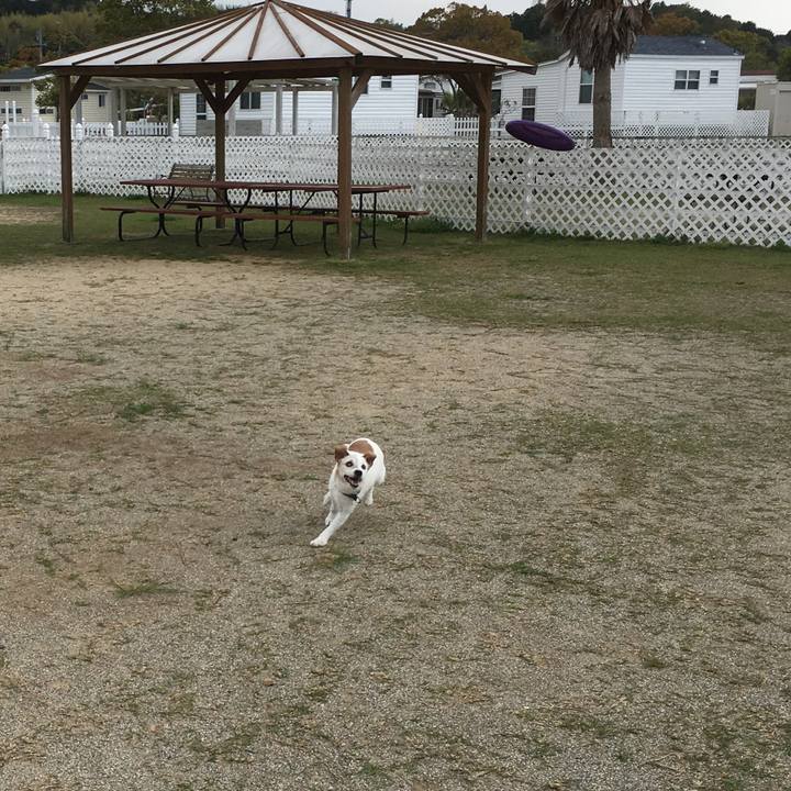 D93c5b29 bdc9 4af1 93f6 c0dcc8702204