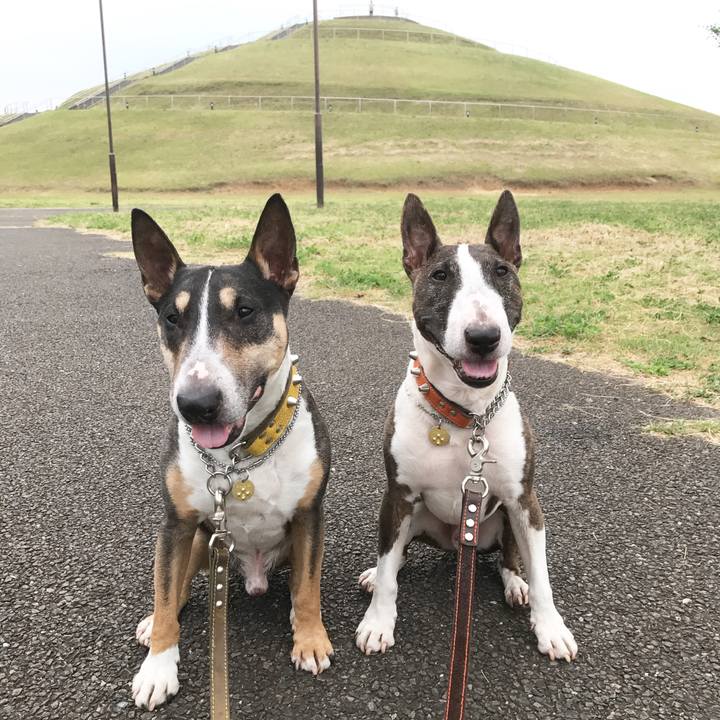 D93c9d1e da0a 4016 9ffe 3ad3e3e03d19