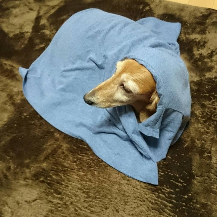 D93caf85 c537 48c6 945a 4d2b506abd3d