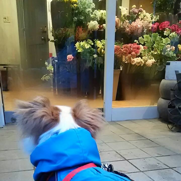 D93d1a91 2411 4f63 beea 1185ca1130db