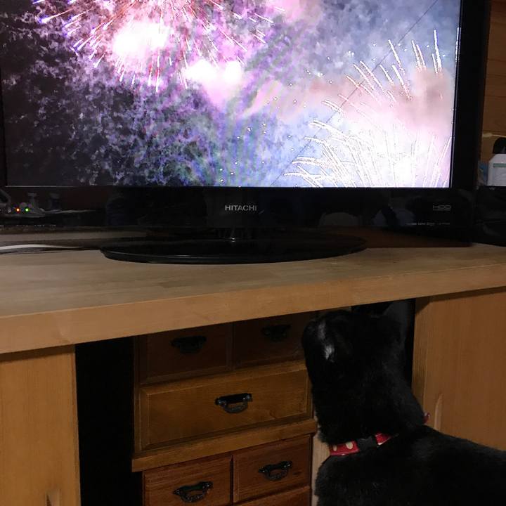 D93d9261 391a 44f6 b5b9 3deeba89b064