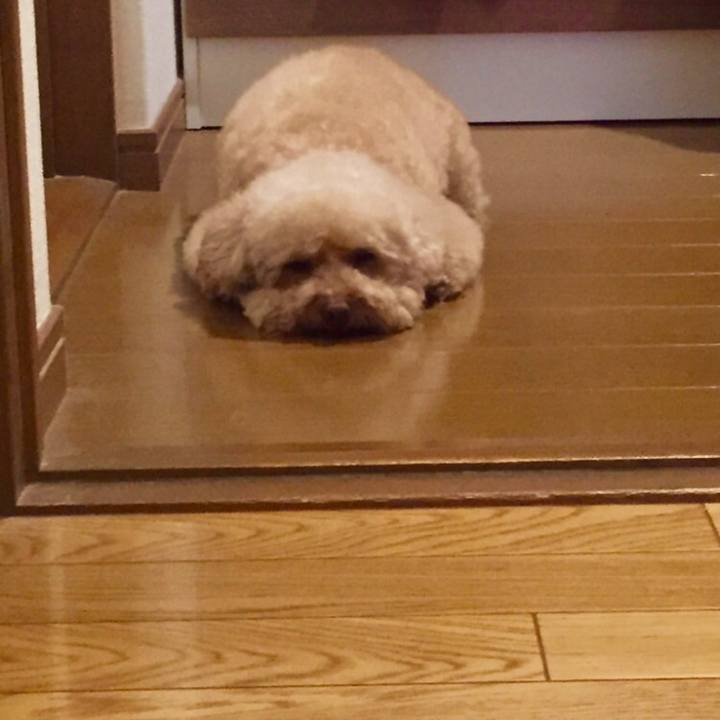 D93db078 9e34 4b8f bcf6 44292067665e