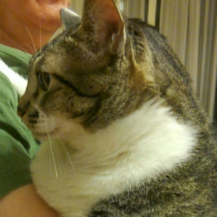 D93e408f 8e4e 40cb ada1 f7cf051bad09