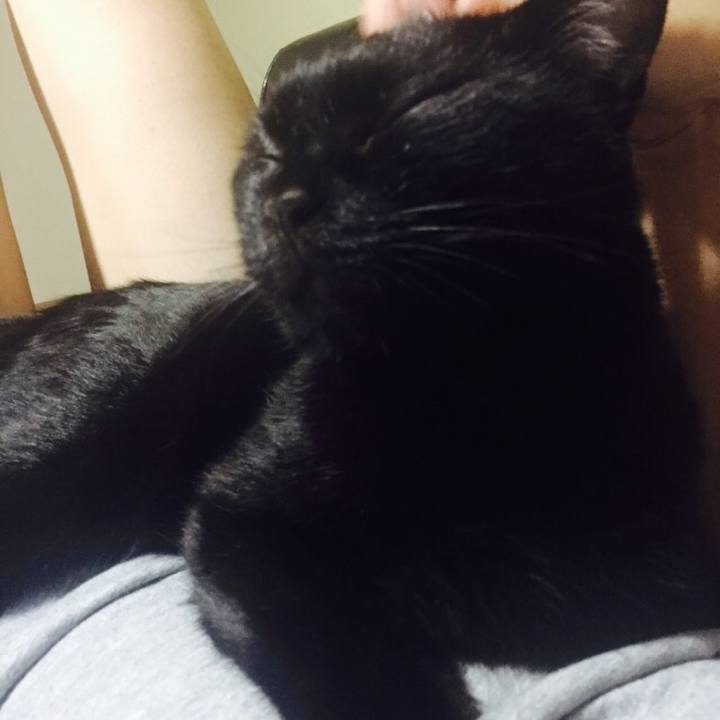 D93ef203 fbb0 45d1 81f6 7e05fcbfe01b