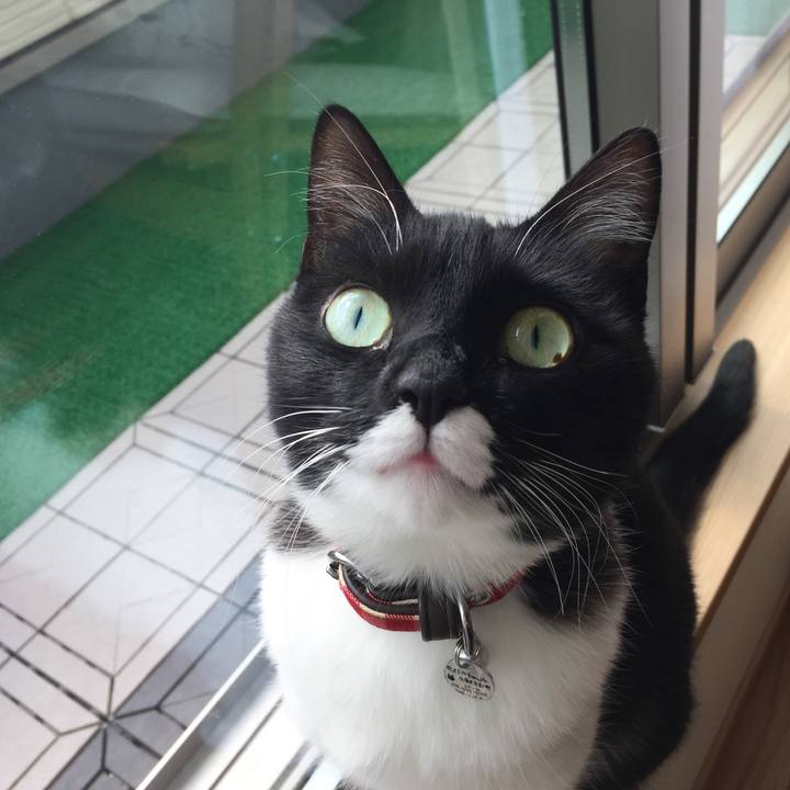 D93fde83 3766 47d0 bc03 799a6d9e85b2