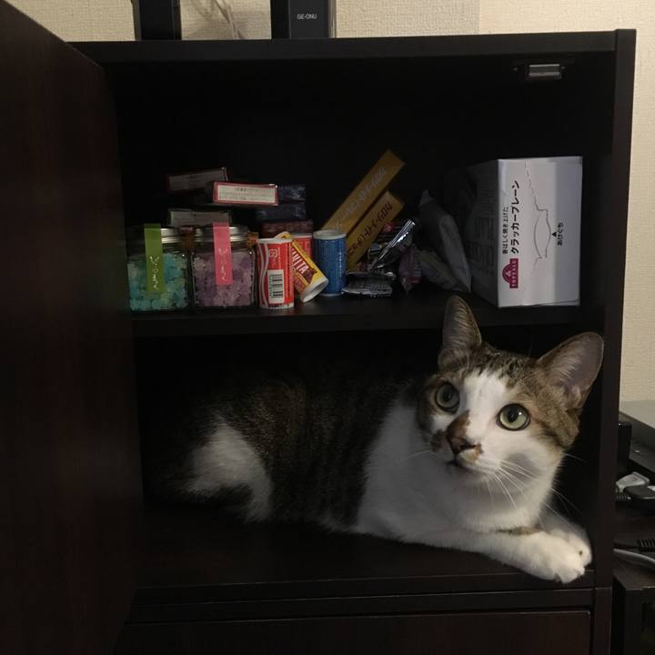 D94023cb e023 4249 9544 ebcc4aedc3bf